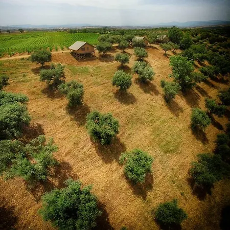 Alloggio per agriturismo Castello Di Serragiumenta