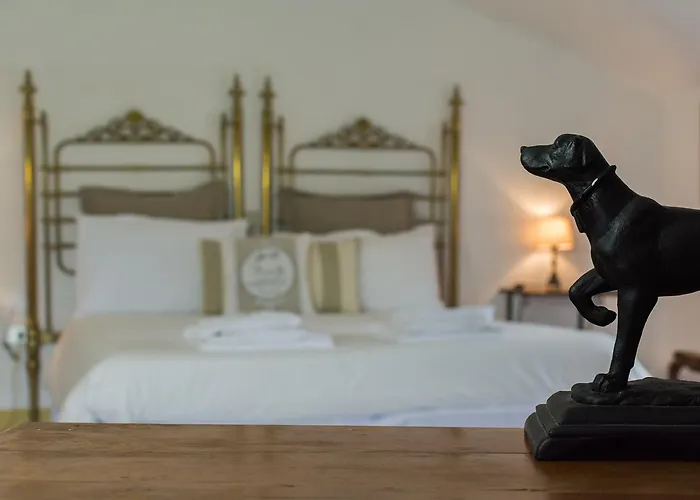 Castello Di Serragiumenta * Firmo